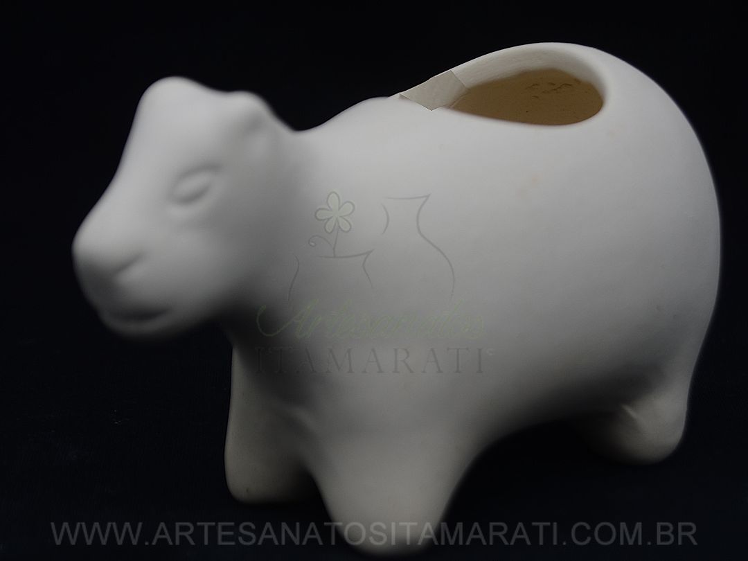 Detalhes do produto Capivara porta Suculenta